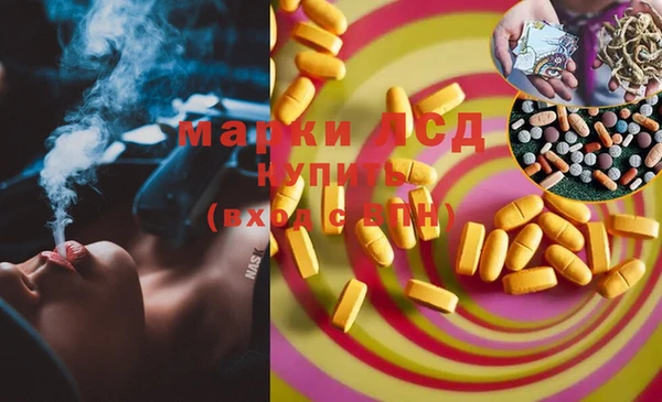 мяу мяу мука Баксан