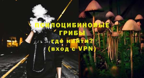 мяу мяу мука Баксан