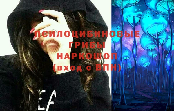 мяу мяу мука Баксан