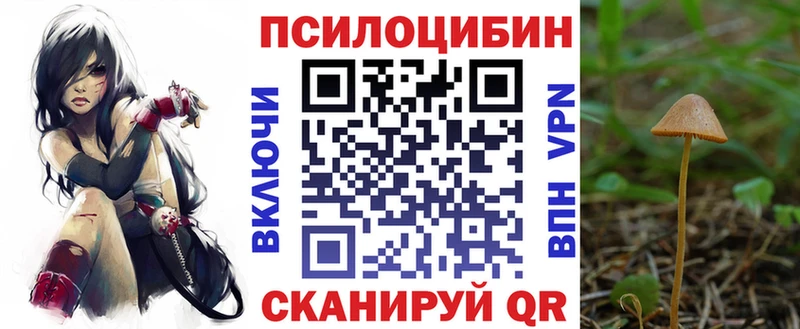 Купить где  Новоаннинский  Псилоцибиновые грибы ЛСД 