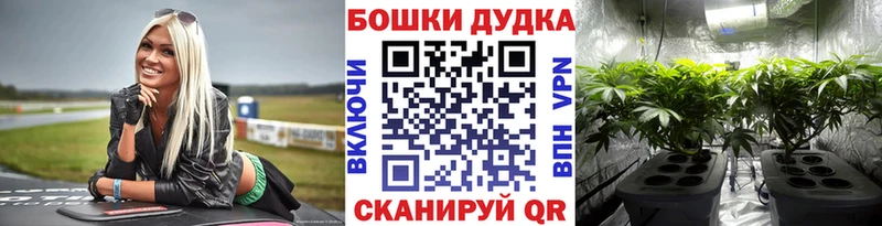 Купить  Новоаннинский  Конопля план 